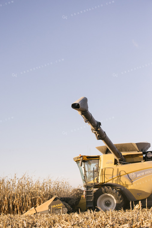 Nebraska Corn Harvest 70031