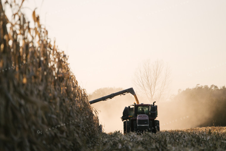 Nebraska Corn Harvest 70033