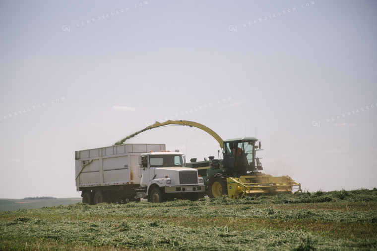 Harvesting Hay Silage 70060