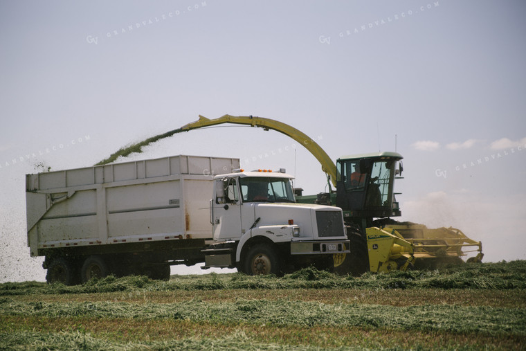 Harvesting Hay Silage 70062