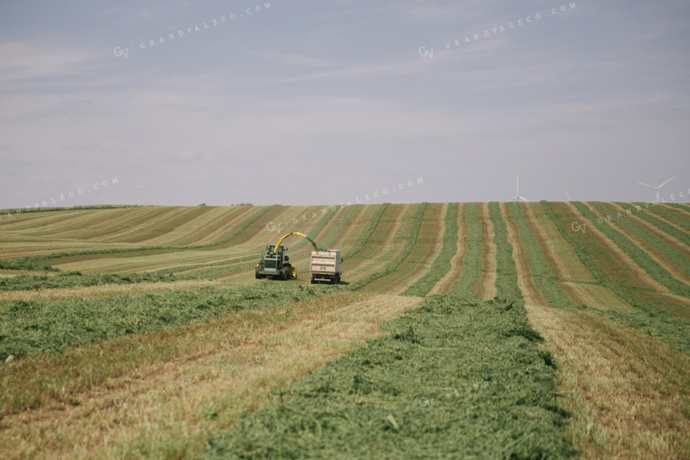 Harvesting Hay Silage 70065