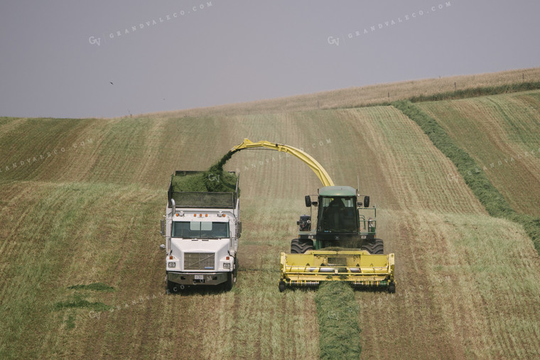 Harvesting Hay Silage 70075