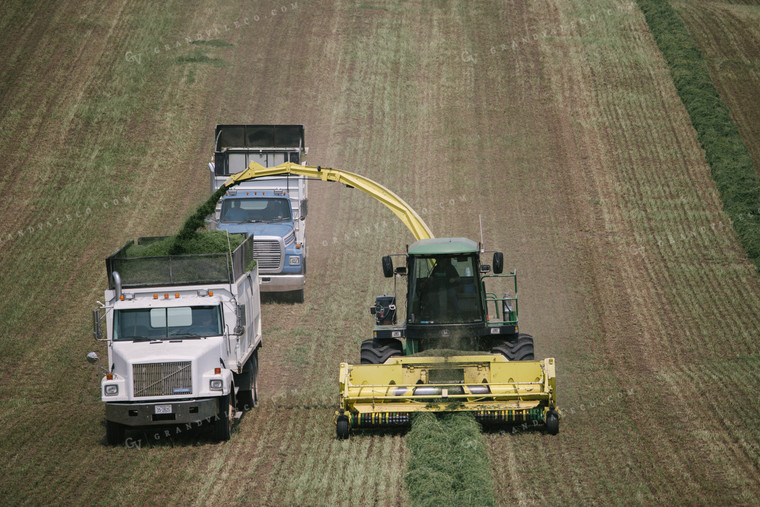 Harvesting Hay Silage 70076