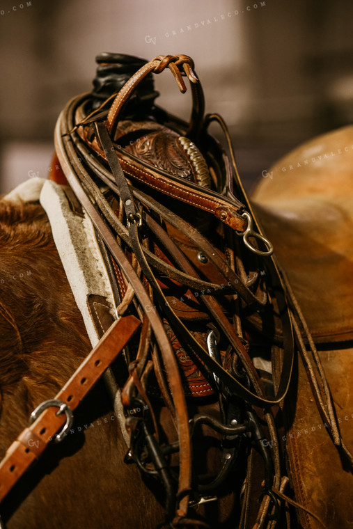 Horse Saddle 64203