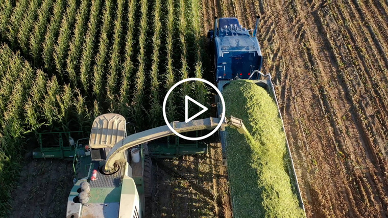 Chopping Corn Silage Drone 56325