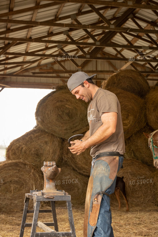 Farrier Shoeing Horses 52429