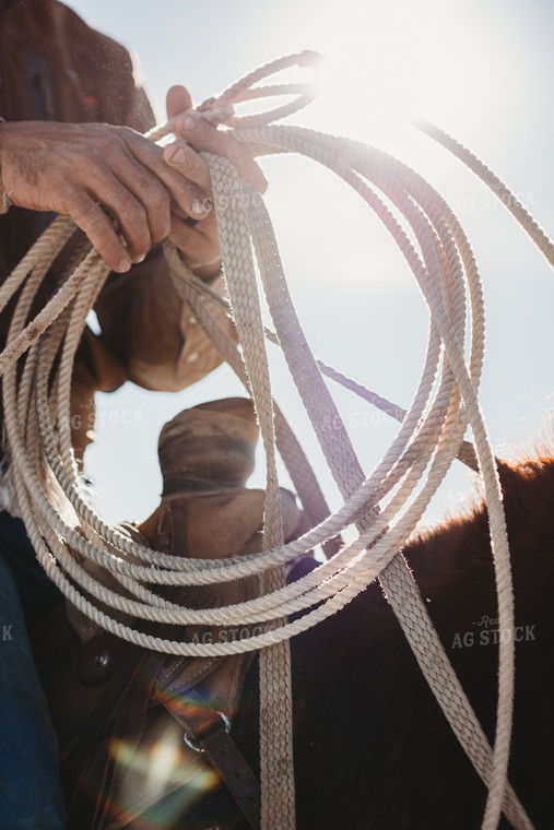 Rope in Rancher's Hands 54014