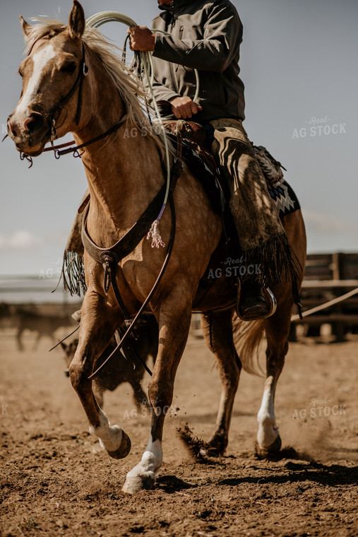 Rancher on Horseback 54017