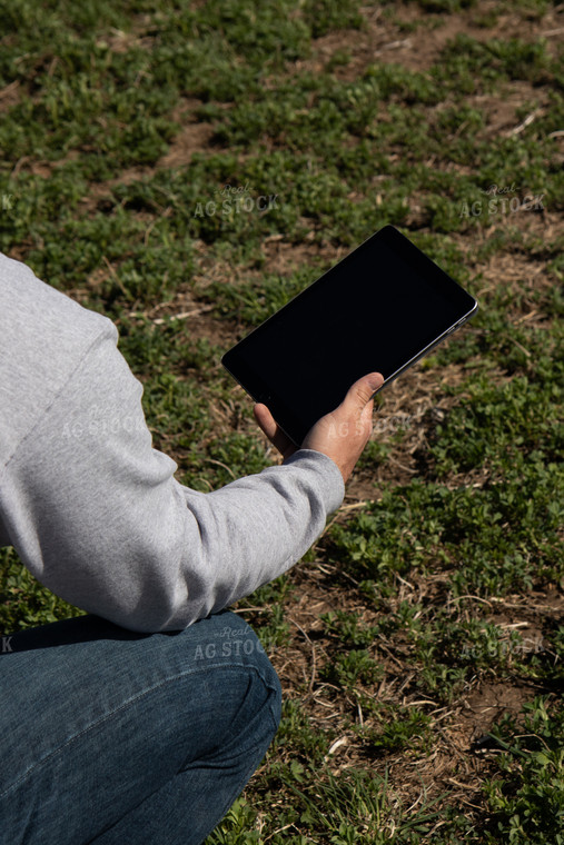 Farmer with iPad in Cover Crops 67209