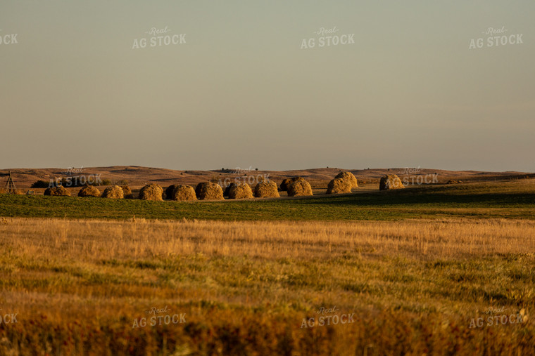 Hay Stacks at Sunset 71003