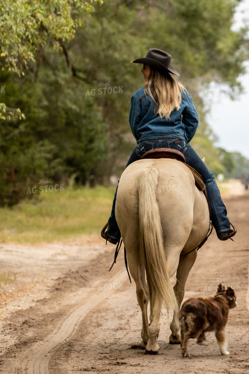 Rancher Riding Horse with Ranch Dog 71011