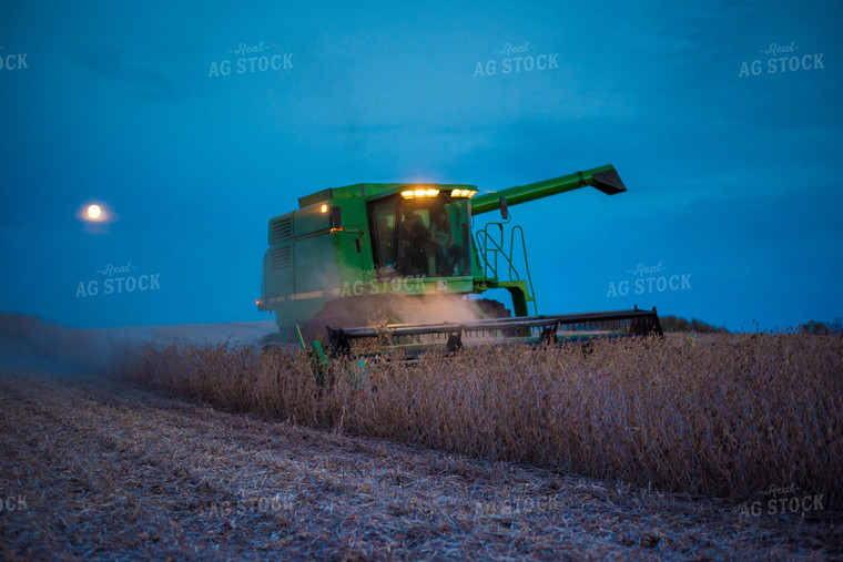 Soybean Harvest with Moon 74055