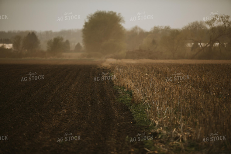 Field Border with Tilled and No-Till 5629