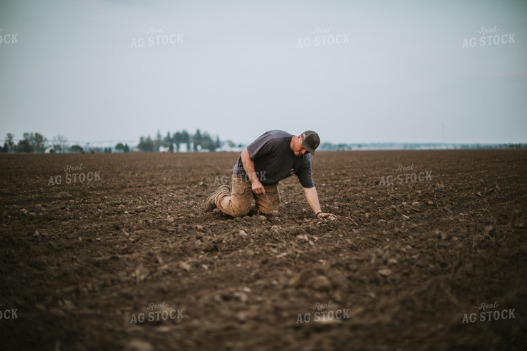 Farmer Checking Seed Depth 5676