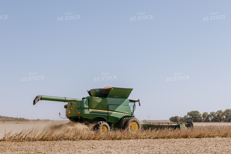 Soybean Harvest 77065
