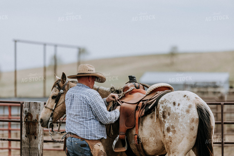 Rancher and Horse in Farmyard 77079