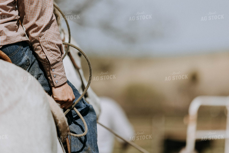 Side of Rancher with Rope 77082