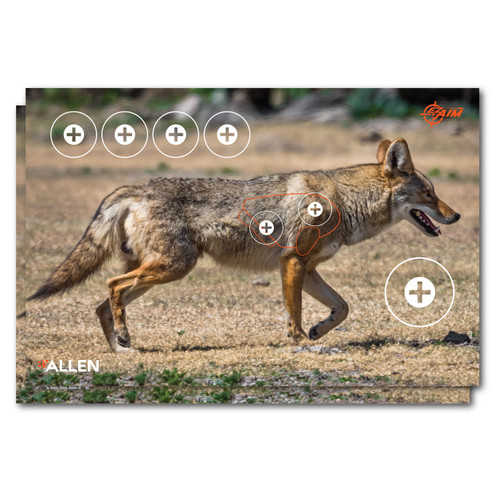 ALLEN COMPANY INC EZ-Aim 15284 Four Color  Coyote Paper Hanging 23" x 35" Multi-Color 2 Per Pkg