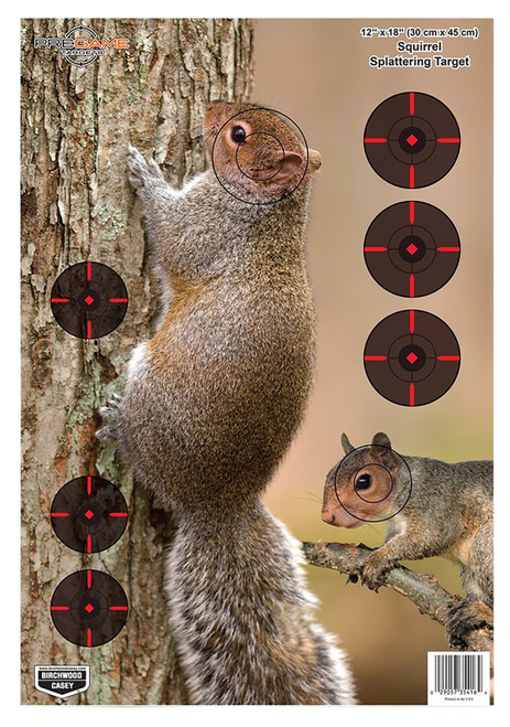 BIRCHWOOD CASEY (GSM) Birchwood Casey 35406 Pregame  Squirrel Paper Hanging Rifle 12" x 18" Impact Enhancement 8 Per Pkg
