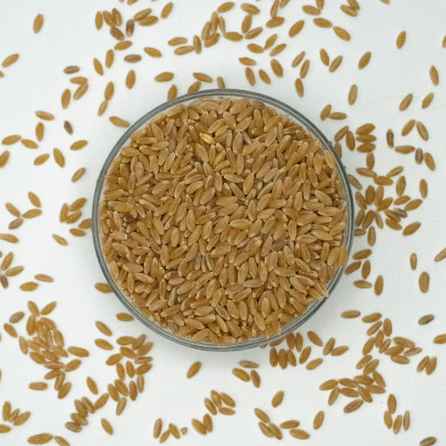 Durum Wheat/ Semolina, Organic