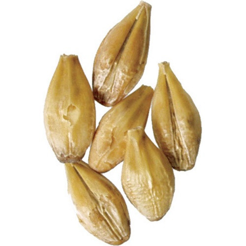 Acidulated Malt - Weyermann® Specialty Malts