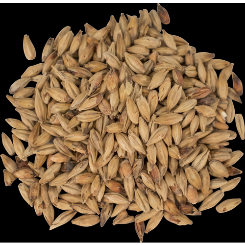 Melanoidin Malt - Weyermann® Specialty Malts