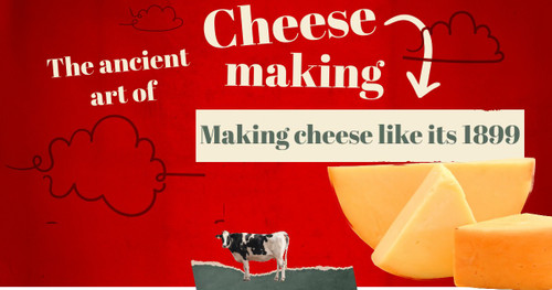 The Ancient Art of Cheesemaking Class