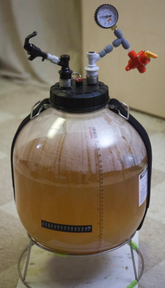 Beginner Beer through Pressure Fermentation
