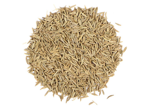 Caraway Seed, Organic (Carum carvi)