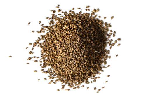 Celery Seed, Organic (Apium graveolens)