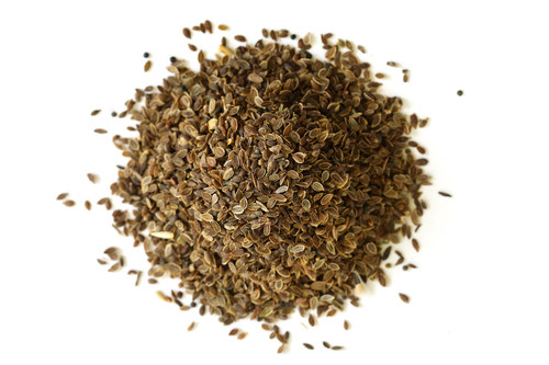 Dill Seed Dill Seed