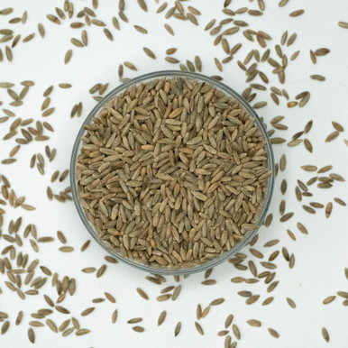 Freshly Milled Sprouted Rye Flour, Organic