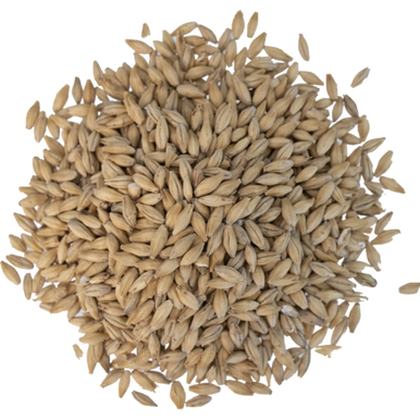Belgian Pilsner Malt - Dingemans Malting