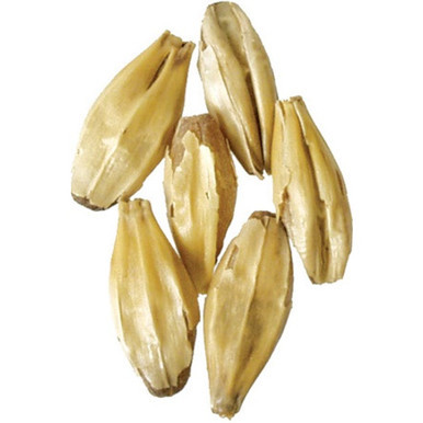 Carapils Malt