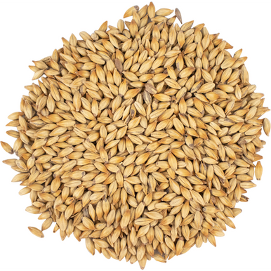 Caramel 100 (40L) Malt - Viking Malt