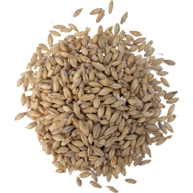 German Pilsner Malt - Weyermann® Specialty Malts