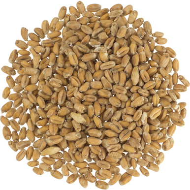 Raw White Wheat Malt - Briess Malting