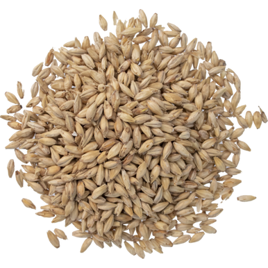 American Pale Malt - Great Western Malting