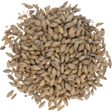 Lightly Peated Malt - Viking Malt