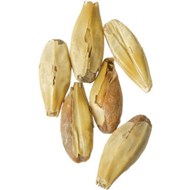 Special Roasted Malt - Briess Malting