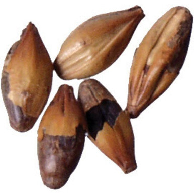 British Crystal 135/165L Malt - Bairds Malt