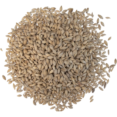 Pearl Malt - Thomas Fawcett Malting
