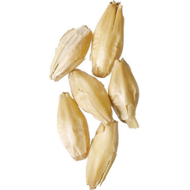 2-Row Malt - Rahr Malting