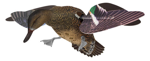 AVIAN X (GSM) Avian X AVXPFLHT PowerFlight Hen Green-Winged Teal spinning wing decoy