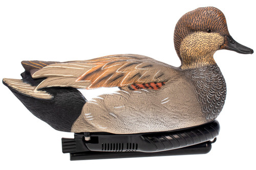 AVIAN X (GSM) AVIAN AVX-PSW-GDSW  POWER SWIMMER GADWILL DRAKE