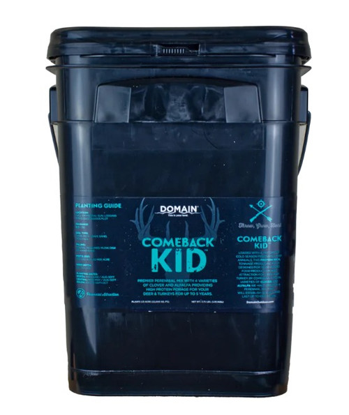ALLEN/DOMAIN OUTDOOR DOMAIN CBKFP375    COMEBACK KID