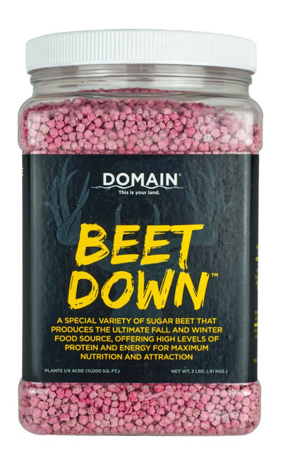 ALLEN/DOMAIN OUTDOOR DOMAIN BDFP2       BEET DOWN