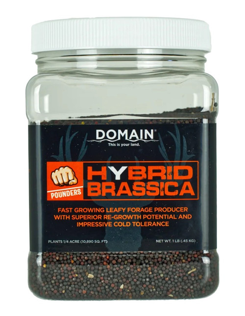 ALLEN/DOMAIN OUTDOOR DOMAIN DHBS1LB     POUNDER - HYBRID BRASSICA