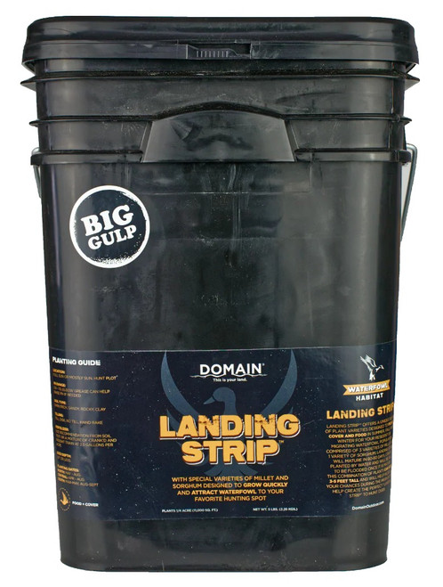 ALLEN/DOMAIN OUTDOOR DOMAIN LSFP5       LANDING STRIP