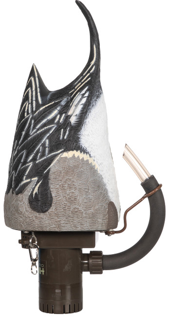 HIGDON DECOYS Higdon Outdoors 54573 Pro Pintailard Pulsator Pintail Species